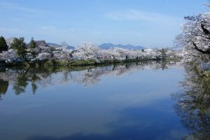 篠山の四季を感じるルートの写真