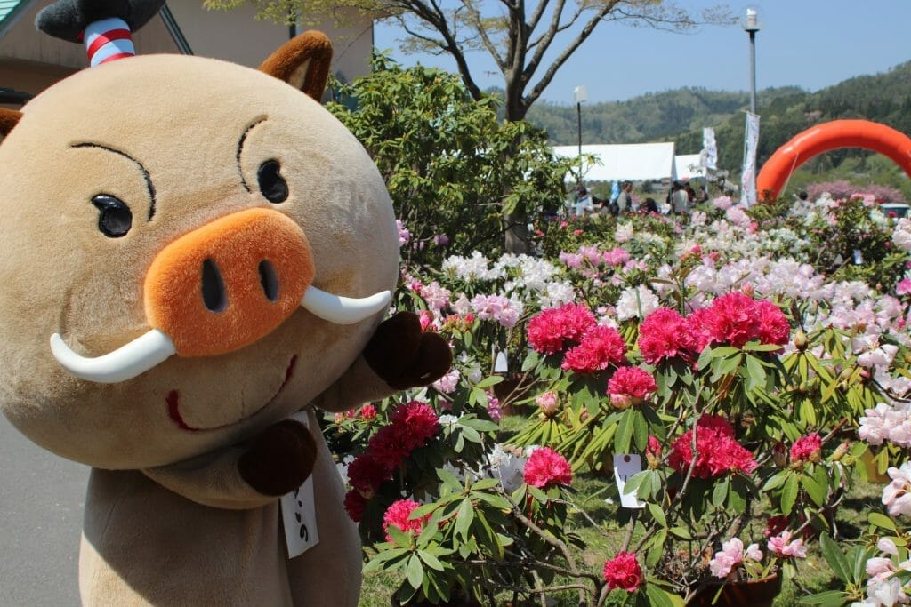 Nishiki Rhododendron Festival