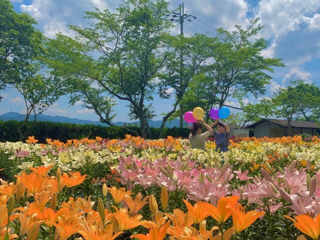 Sasayama Tamamizu Yurien(Lily / Hydrangea Garden)