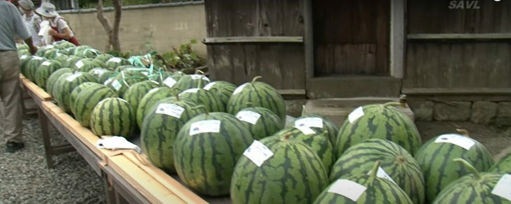 Watermelon Festival by Oyama Community Market