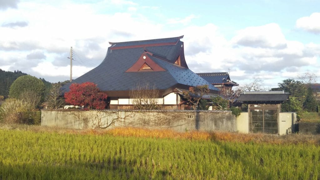 Roofs in Tamba Sasayama 1: My Roof