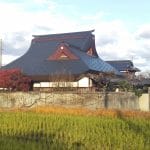 Roofs in Tamba Sasayama 1: My Roof
