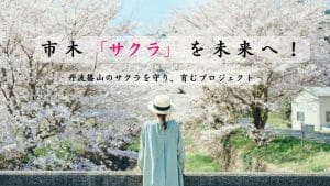 市木「サクラ」を未来へ！丹波篠山の桜を守り、育むクラウドファンディングの写真