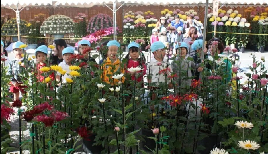 [October 30- November 13, 2022] Chrysanthemum Exhibition