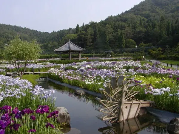 Eitakuji Temple Iris Garden & Soba Dojo