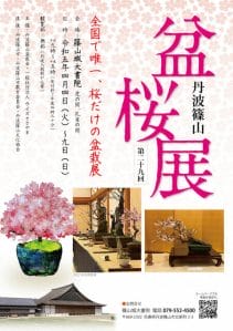 【全国唯一】丹波篠山盆桜展の写真