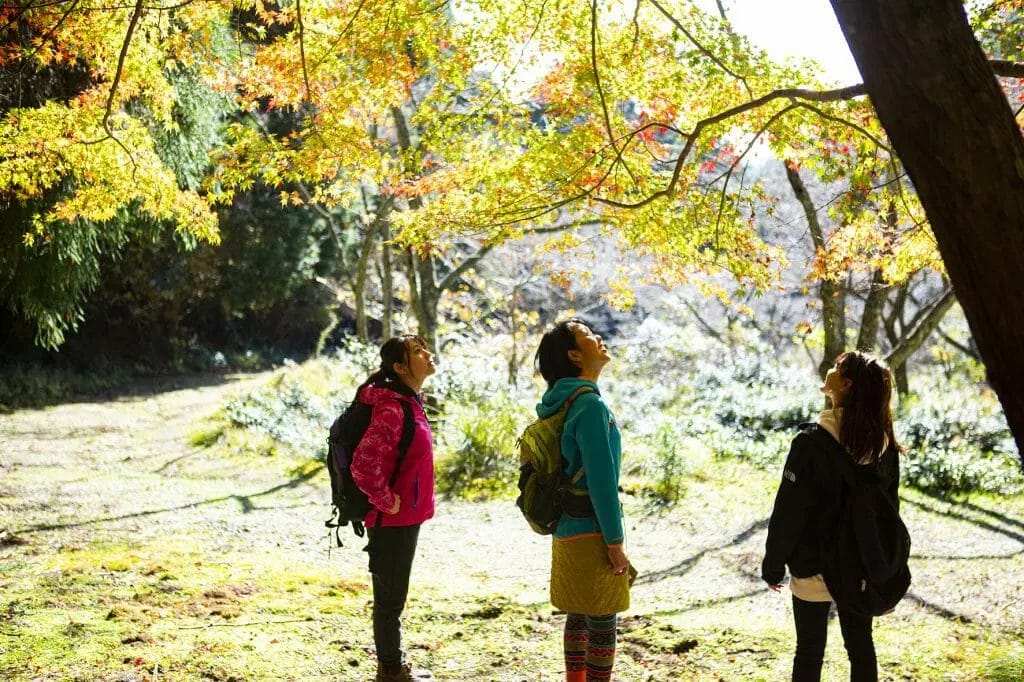 November 17th (Sun) [Free Participation / Reservation Required] Hiking Event – Oyama no Sato Historical Walk